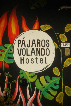 Pajaros Volando Hostel Merlo San Luis